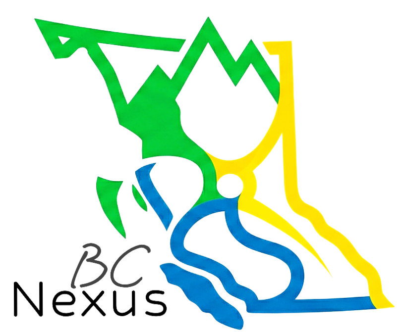 BCNexus logo